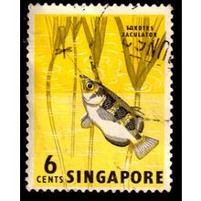 Malaya Singapore 1962 Fish 6c Used Stamp