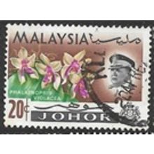 JOHORE 1965 SG 172 - fine used (o)
