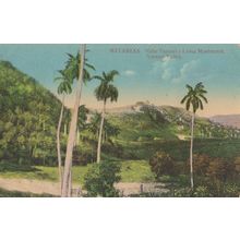 Matanzas Cuba Antique Postcard