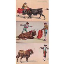 Puntillero Rematando Bull Fight Animal Slaughter 3x Postcard
