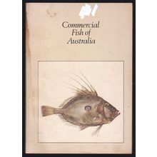 Commercial Fish Of Australia by Peter Pownall. Ref: B2415