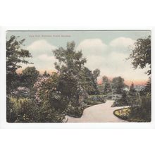 View from Braintree Public Gardens Essex 1908 Postcard