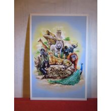 ANIMAL MONTAGE, BUSCH GARDENS, TAMPA BAY, FLORIDA, USA unused postcard =