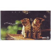 Kittens V2Japan NTT Phone Card