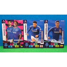 9x PANINI ADRENALYN EVERTON CARDS
