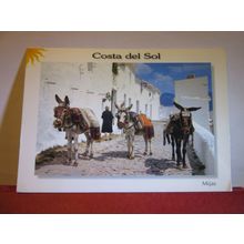 DONKEYS, MIJAS, COSTA DEL SOL. used postcard.1976 postmark =
