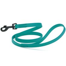 Dog Pet Waterproof Leash - W3/4" x L4' - Blue Aqua