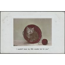 Kitten - I Wouldn't Leave My Little Wooden Hut For You, 1908 - Aristophot RPPC