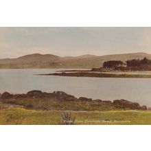Dawcross Road Kenmore Postcard