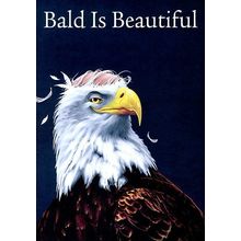 Bald Is Beautiful - 14204