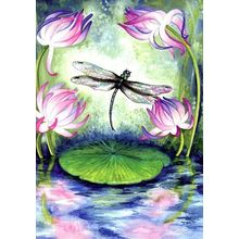 Magic Pond - 14169
