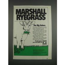 1985 Funk's G Marshall Ryegrass Ad - The Big Gainer