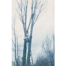 Tree Surgeon Repair Man Cutting Down Trees Keyworth Nottingham Village Postcard