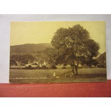 GELERT'S GRAVE, BEDDGELERT, GWYNEDD ..unused antique postcard by Photochrom /