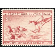 RW13, Mint VF NH $1 Federal Duck Stamp ** Stuart Katz