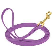 Dog Pet Leash Amethyst Purple w/ Brass Hardware W 1/2" - L15'