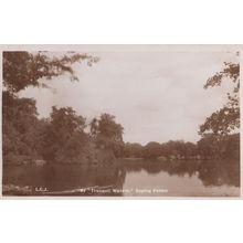 Tranquil Water River at Epping Forest Old Real Photo Postcard