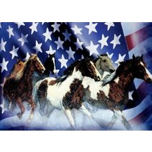 Patriotic Unity Cards - Thundering Horses - Tree Free Greeting Card - 90074