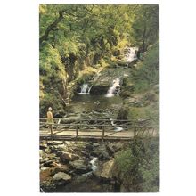 WATERSMEET, LYNMOUTH, DEVON used vintage postcard =
