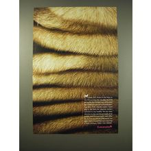 2006 Eukanuba Dog Food Ad - Meet Known in the West as the Chinese Shar-Pei