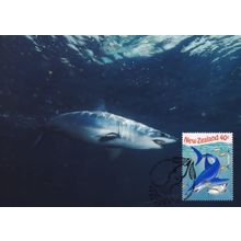 Mako Shark New Zealand Wanganui Stamp Postcard FDC