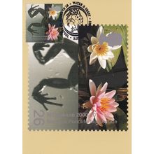 Merseyside National Pond Life Water Flowers FDC Postcard