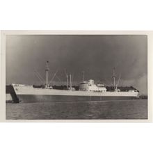 Pleiades Cargo Ship Vintage Rare Photo