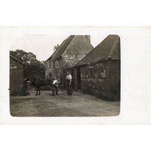 Berkshire Farm Antique Real Photo Postcard