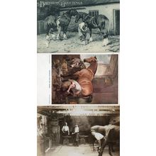 Shoeing The Bay Mare Horse Farming 3x Old Postcard s