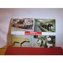 JERSEY BATTLE OF FLOWERS MUSEUM, CHANNEL ISLES unused vintage postcard ACG 180 =