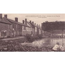 Crevecour Le Grand Avenue De La Prairie Antique French Postcard