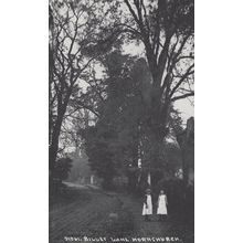 Billet Lane Hornchurch Essex in 1910 Postcard