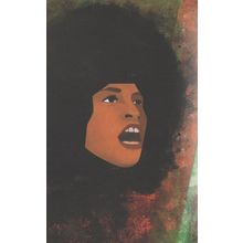 Angela Davies African American Political Activist Professor Postcard