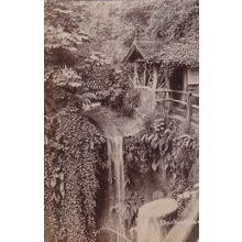 ED231 SHANKLIN CHINE . RP POSTCARD