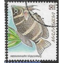 1999 SG 760 - fine used (o)