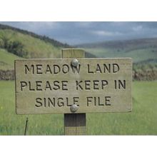 Yorkshire Dales Upper Swalesdale Keep In Single File Funny Signpost Postcard