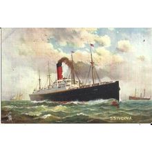 Cunard RMS IVERNIA Tuck Oilette Postcard (9106)