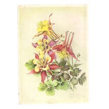 COLUMBINE FLOWER by Marianne Schneegans used postcard #
