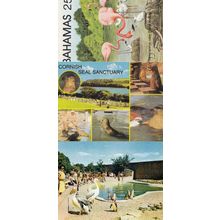 Penguins at Cotswold Wildlife Park Cornwall Seals Bahamas 3x Bird Postcard s