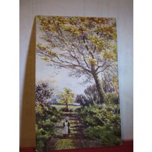LANE NEAR BROKENBACK BRIDGE, LANCASHIRE unused antique postcard by A L Price =