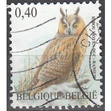 Belgique 2007 Michel 3784 O Cote (2008) 0.80 € Hibou moyen-duc Cachet rond