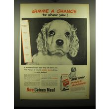 1948 Gaines Meal Dog Food Ad - Gimme a chance to show you