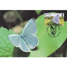 Guernsey Holly Blue Butterfly Moth WWF Stamp First Day Cover Postcard