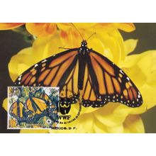 Monarch Butterfly Mexico WWF Stamp First Day Cover Postcard