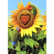 You Are My Sunflower - Tree Free Greeting Card - 14345
