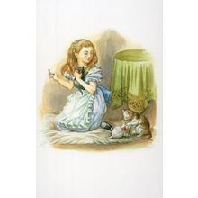Dihah White Kitten Alice's Adventures In Wonderland Book Postcard