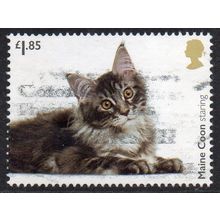 GB 2022 Cats of Great Britain - Maine Coon staring £1.85 Used