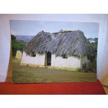 COTTAGE, CURACAO, NETHERLANDS ANTILLES, CARIBBEAN ISLAND unused postcard #