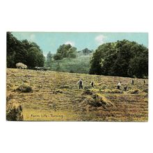 Postcard UK farm life turning hay farmers farming agriculture unposted