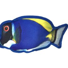 10" Tropical Blue Tang